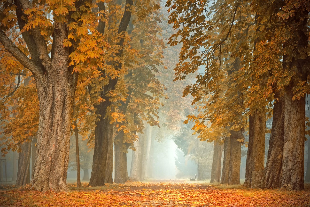 Erholsame Herbstferien!
